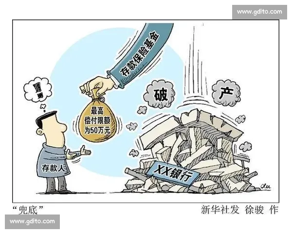 以淘汰为核心探讨竞争机制下的优胜劣汰与社会适应性变化分析