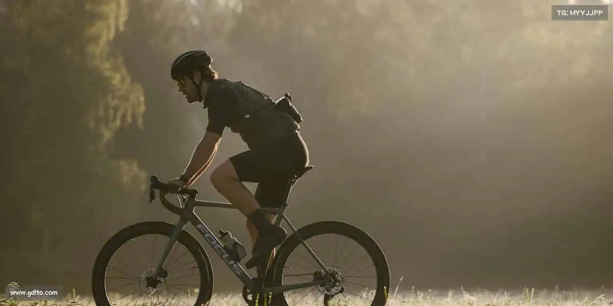 为什么选择我们